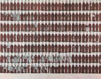 Andy Warhol, Coke Bottles