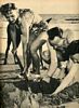 Carole the ditch-digger, Pic March 12, 1942