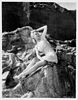 Carole on the rocks bis (1940)